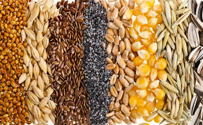  Food-grains Material 