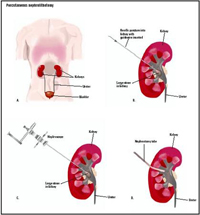 Best Multispeciality Hospital in Ahmedabad  